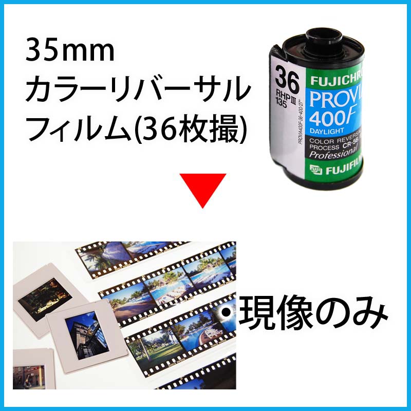 35mmカラーリバーサルフィルム 現像のみ 36枚撮 写ルンです フィルムの現像 データ化 ダウンロード フィルム現像jp