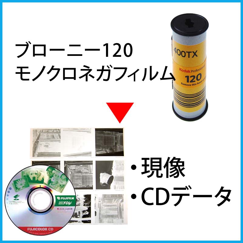 ブローニー120モノクロネガフィルム　現像とCDデータ