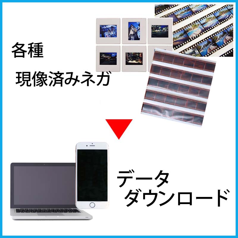 現像済みカラーリバーサルフィルム 写ルンです フィルムの現像 データ化 ダウンロード フィルム現像jp